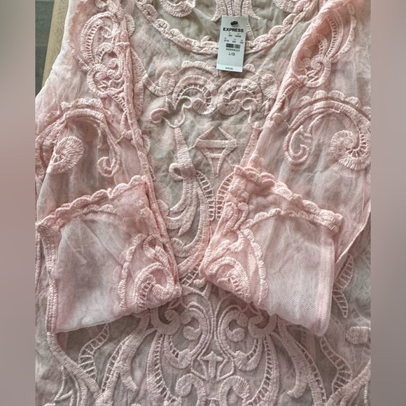 Express Blush Pink Embroidered Sheer Top / Size Large NWT - Picture 9 of 14